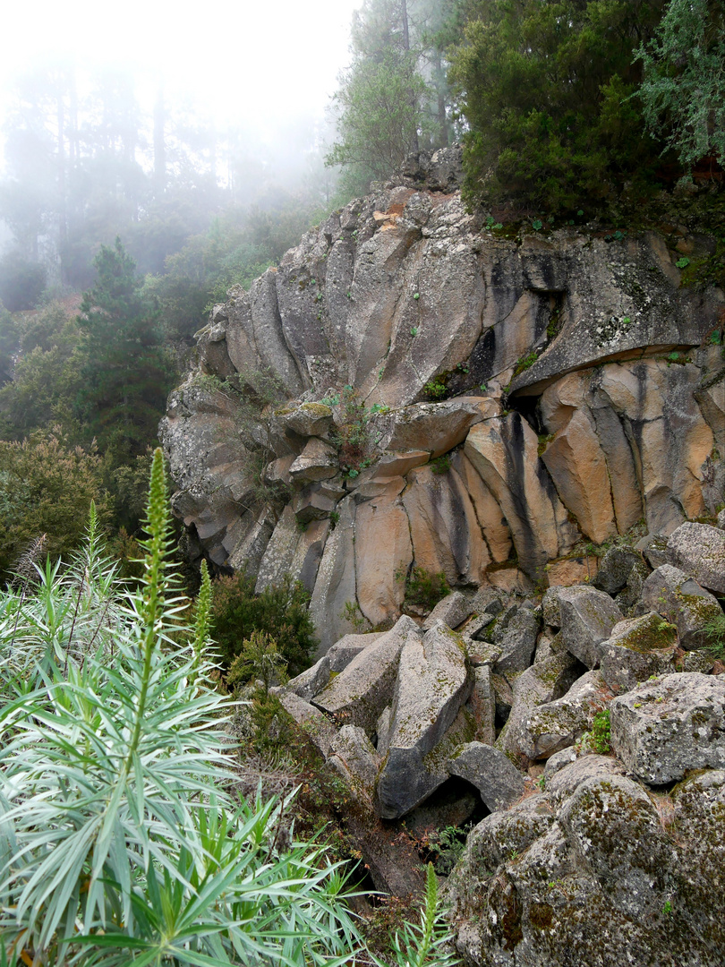 Spanien, Tenerife: Piedra la Rose, Felsgebilde