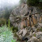 Spanien, Tenerife: Piedra la Rose, Felsgebilde