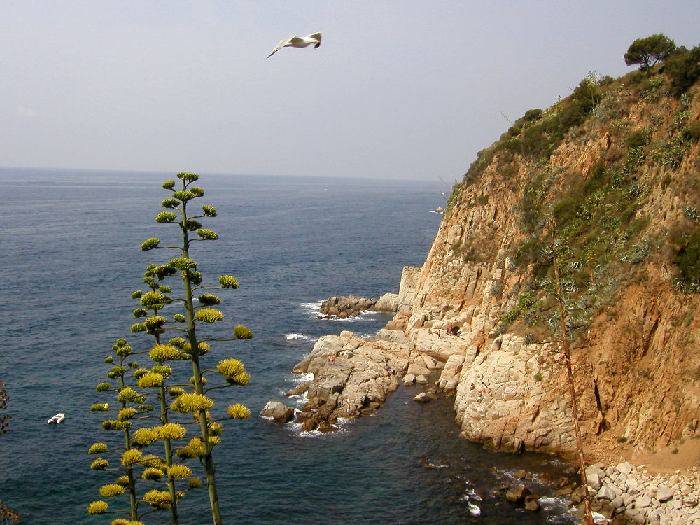 Spanien, Tossa de Mar