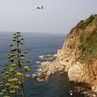 Spanien, Tossa de Mar