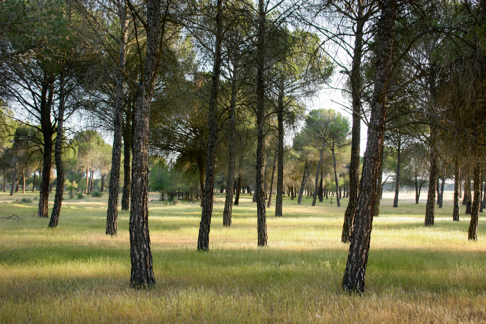 Spanische Landschaft 