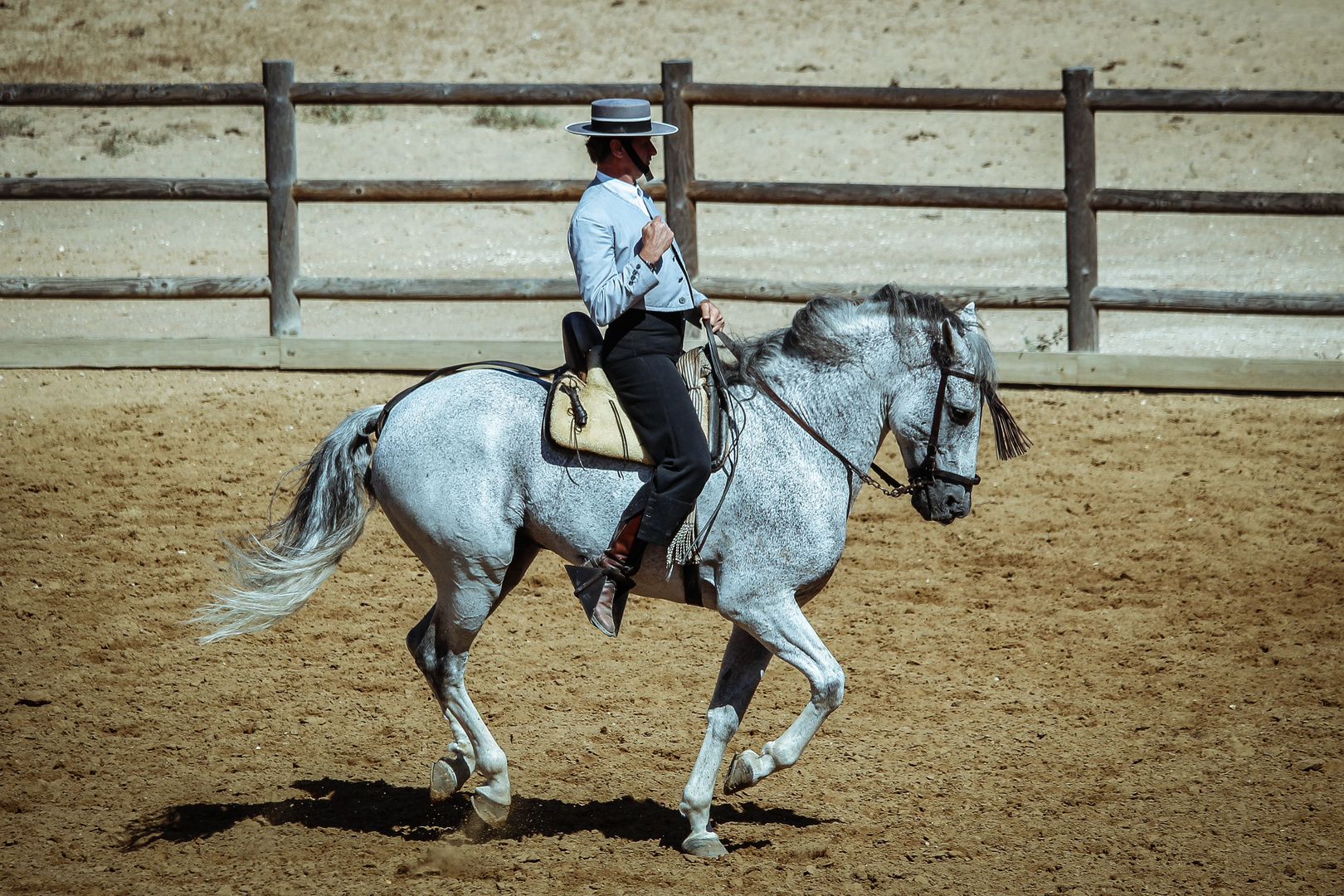 Spanische Reitschule