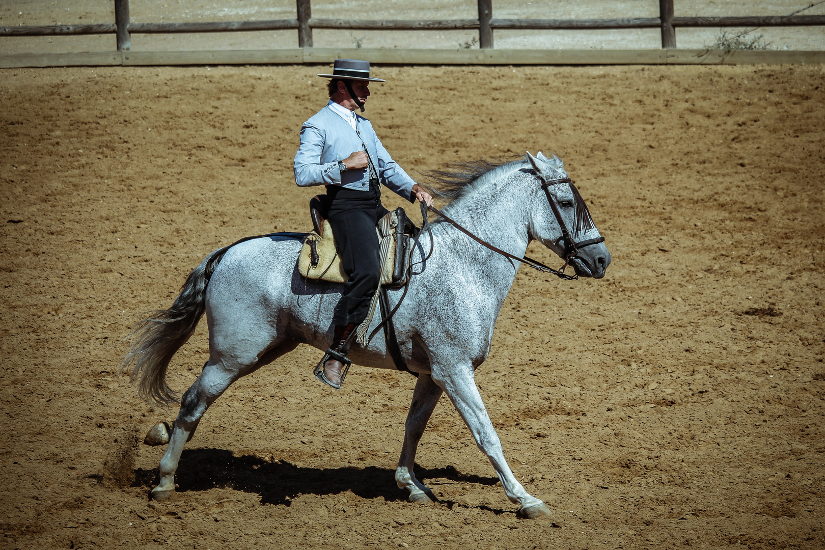 Spanische Reitschule