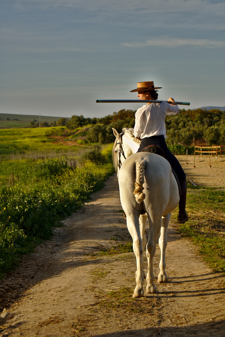 Spanische Reitweise