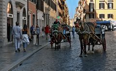 Spanische Treppe - La Scalinata di Trinità dei Monti -