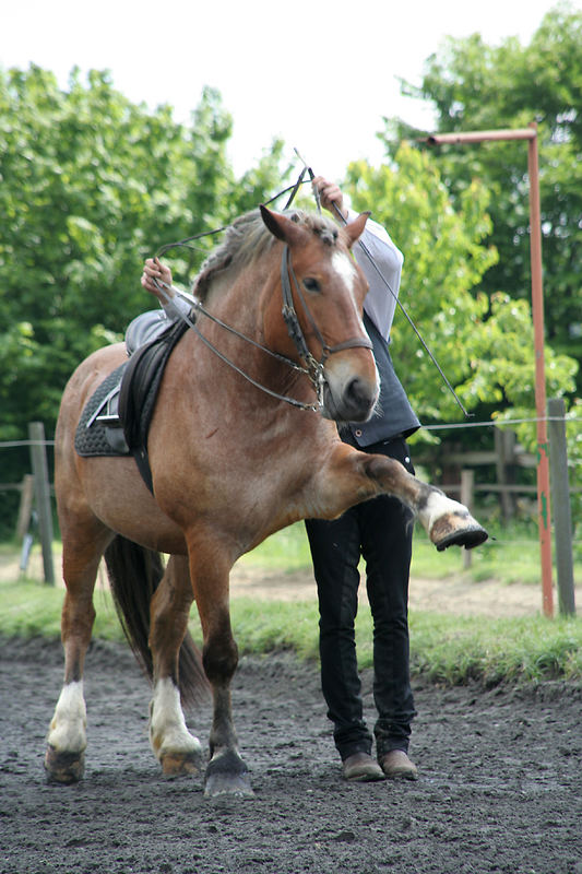 Spanischer Schritt