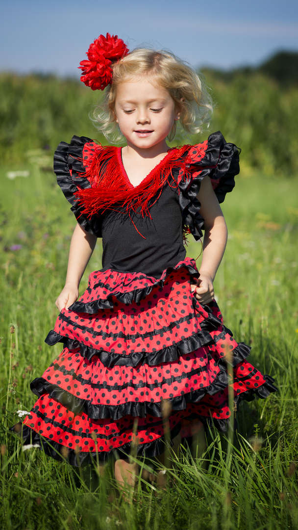 Spanish Lady in der Blumenwiese