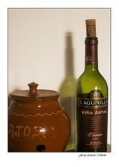 Spanish wines. Rioja