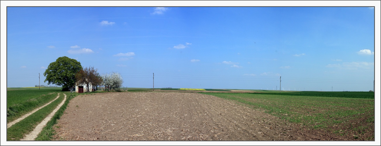 Spannberger Landschaft