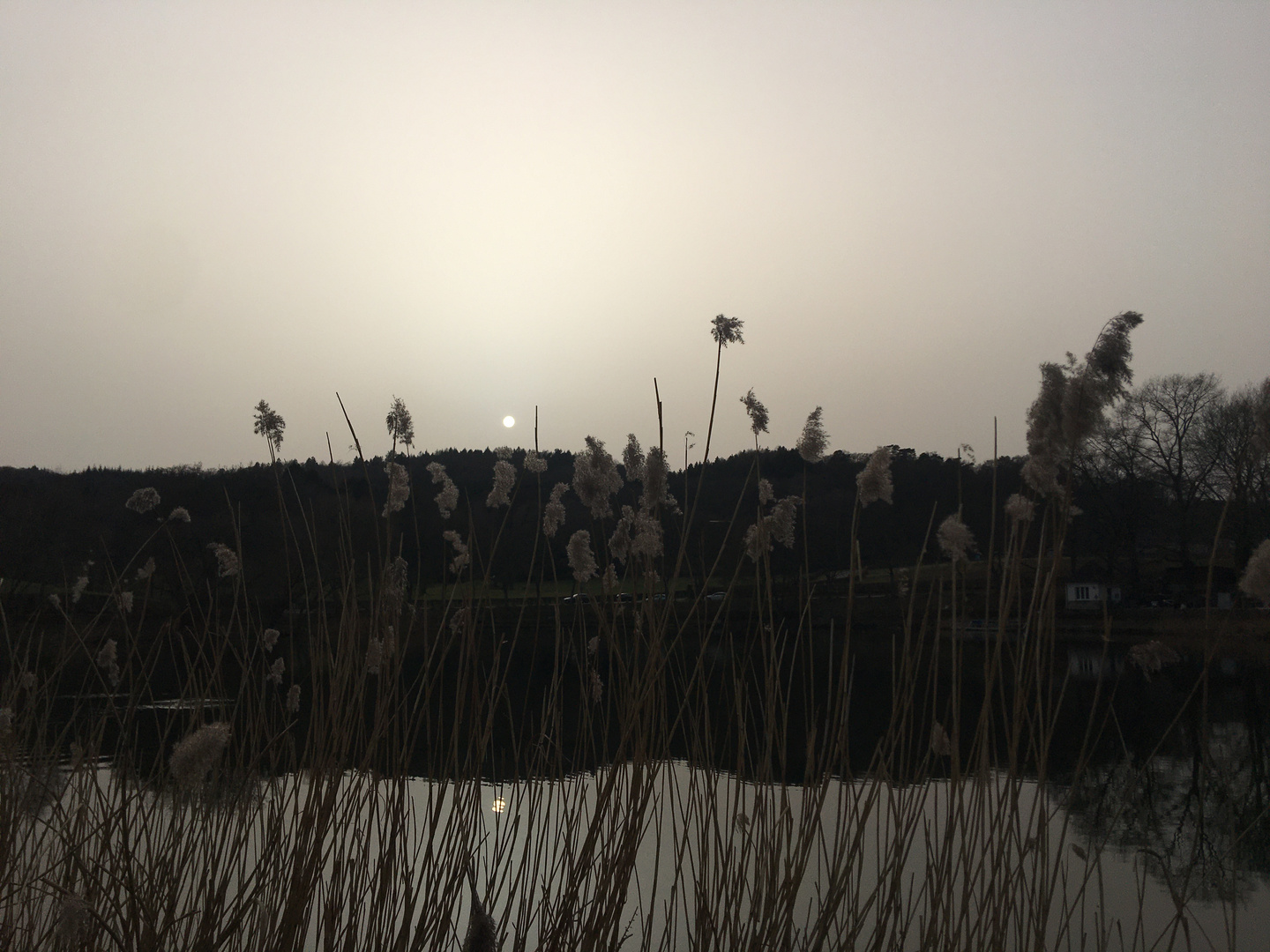 Spannenden Lichtstimmung am See