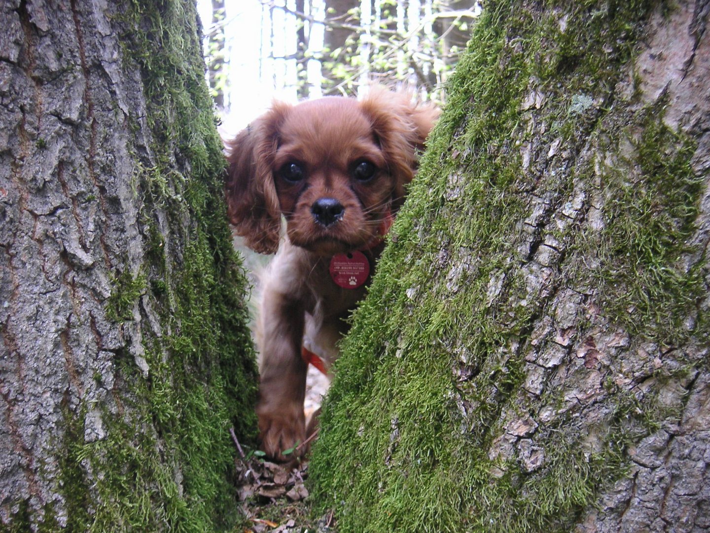 spannender Ausflug in den Wald