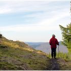 Spannung auf dem Ginsterkopf (Rothaarsteig):