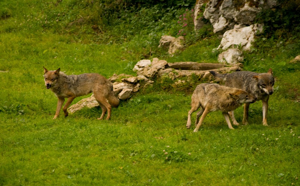 Spannung in der Luft