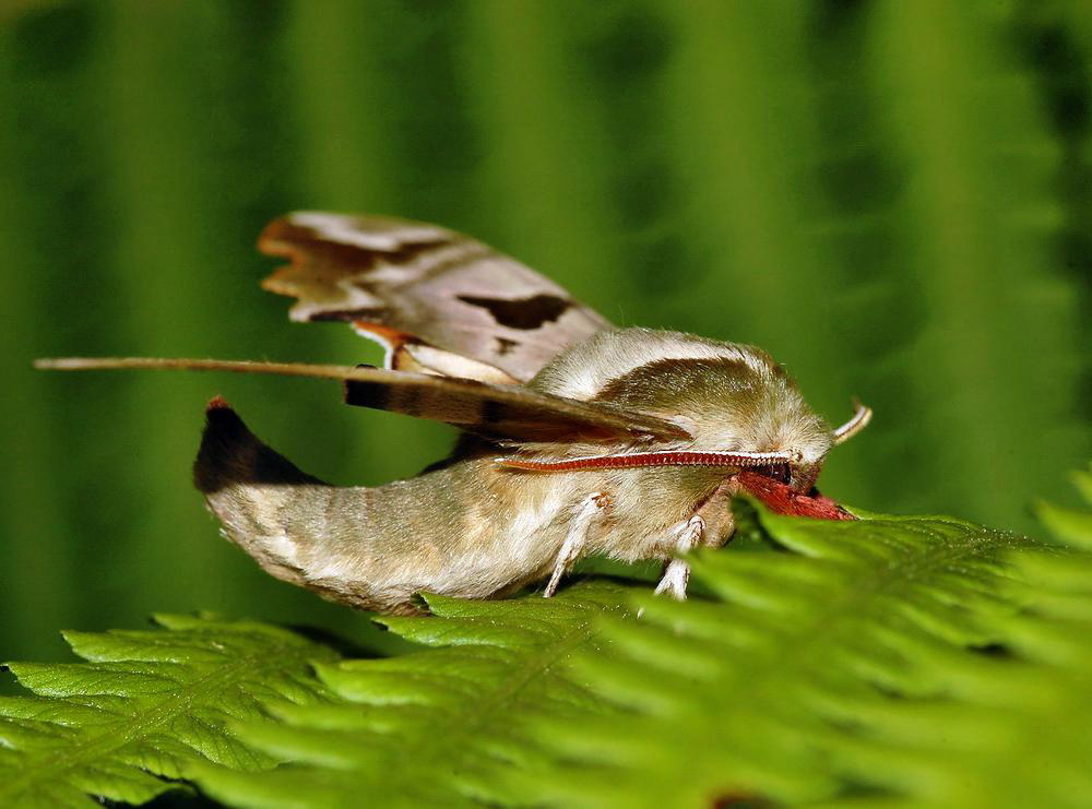 Spannung vor dem Abflug