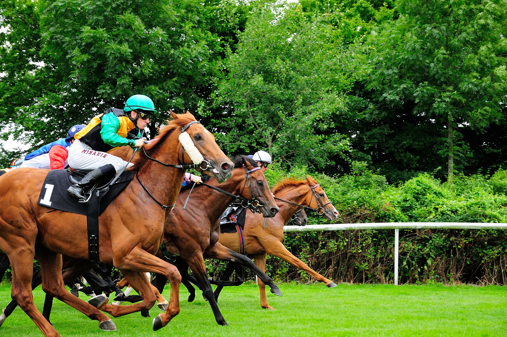 Sparda 143. Deutsches Derby 2012 - 004