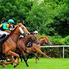 Sparda 143. Deutsches Derby 2012 - 004