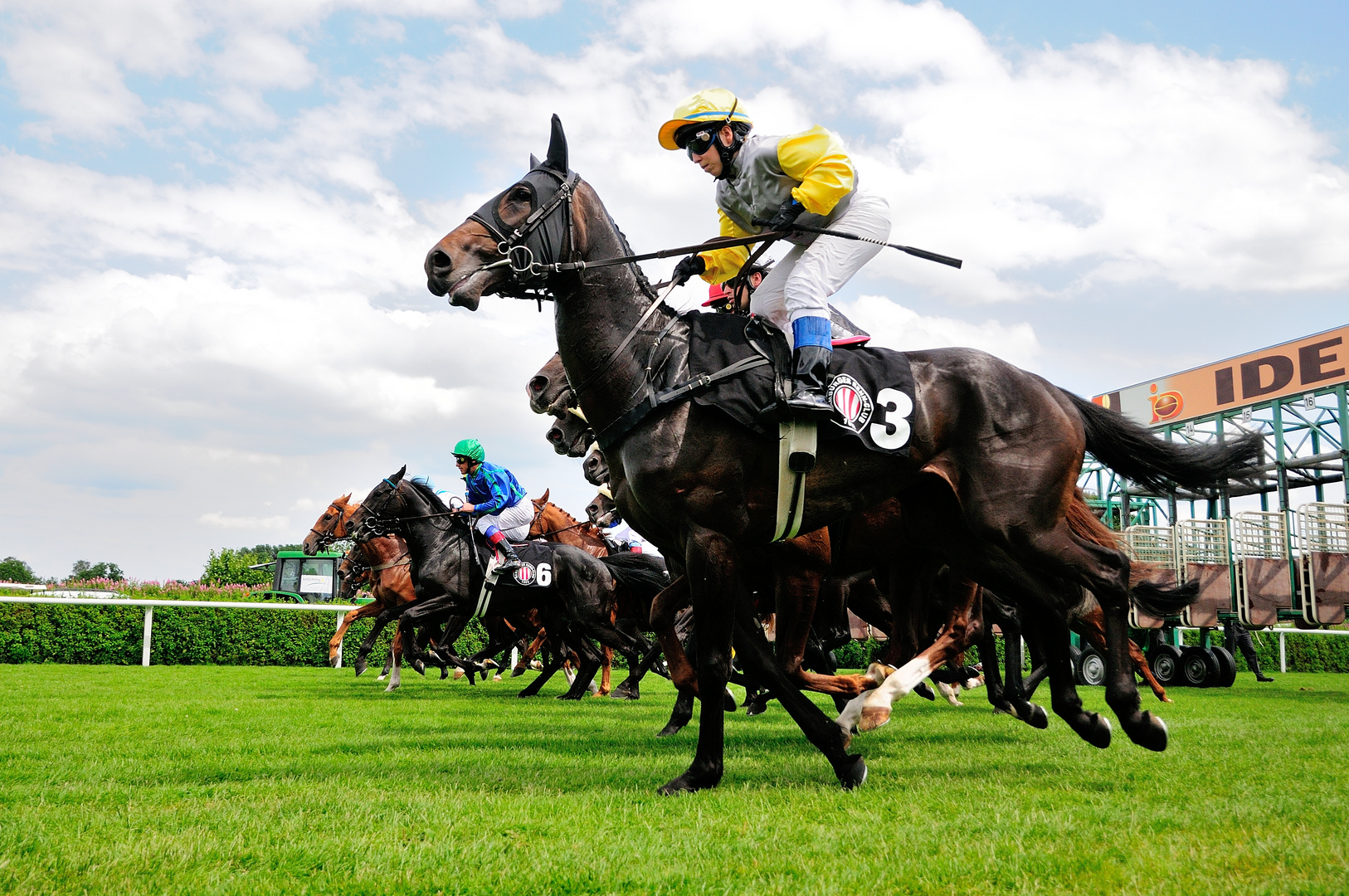 Sparda 143. Deutsches Derby 2012 - 006