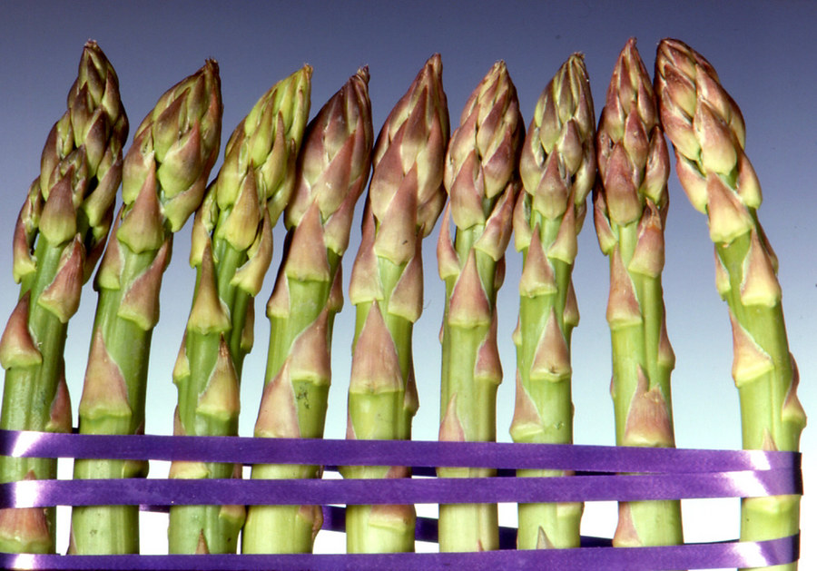 Spargel