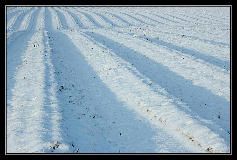 Spargelfeld mit Schnee