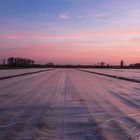 Spargelfelder im Abendlicht