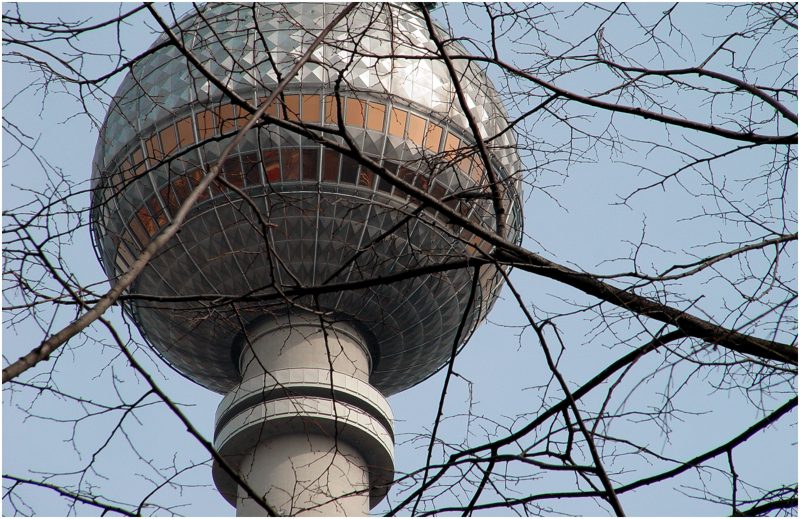 "Spargelkopf" im Vorfrühling