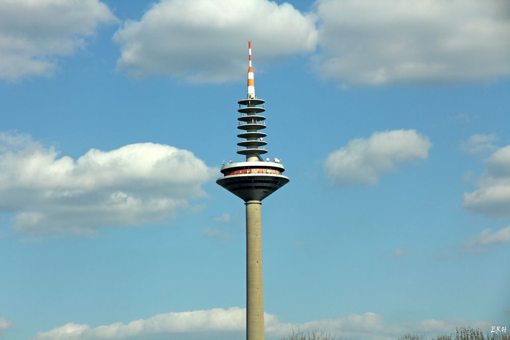 Spargelzeit in Ginnheim