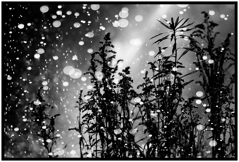 sparkling raindrops 1