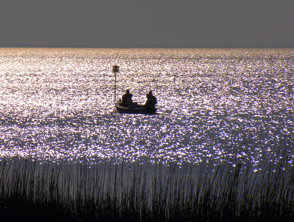 ~~~ sparkling sunset ~~~