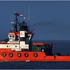 SPARTAN / Offshore Supply Ship / Rotterdam