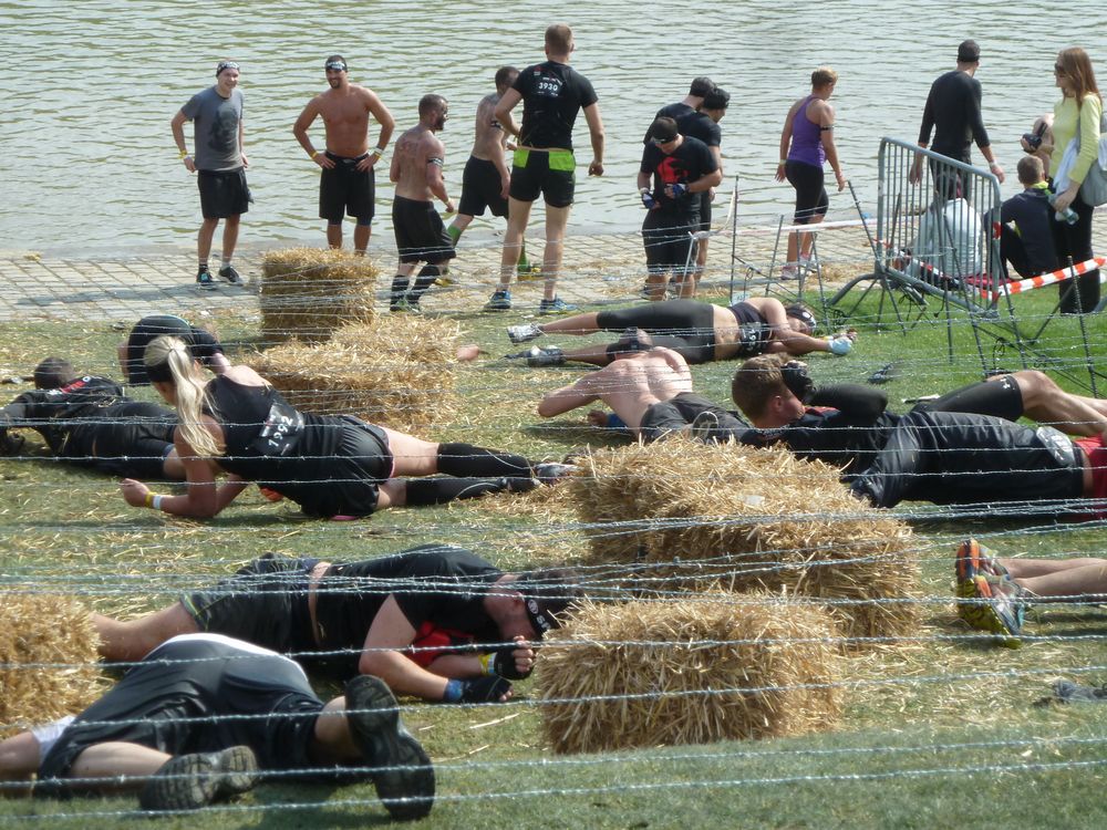 Spartan Race (4)