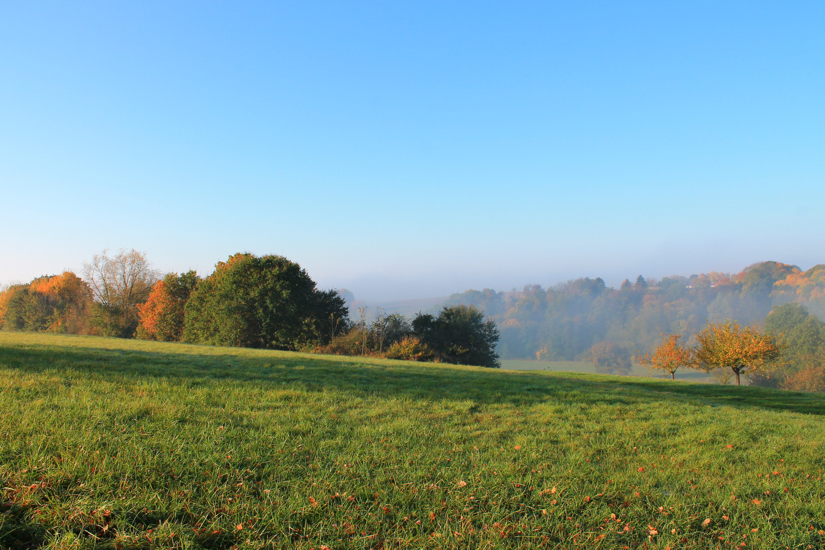 Sparziergang am Morgen vertreibt Kummer und Sorgen!