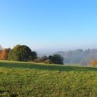 Sparziergang am Morgen vertreibt Kummer und Sorgen!