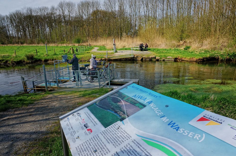 Sparziergang an der Niers IV