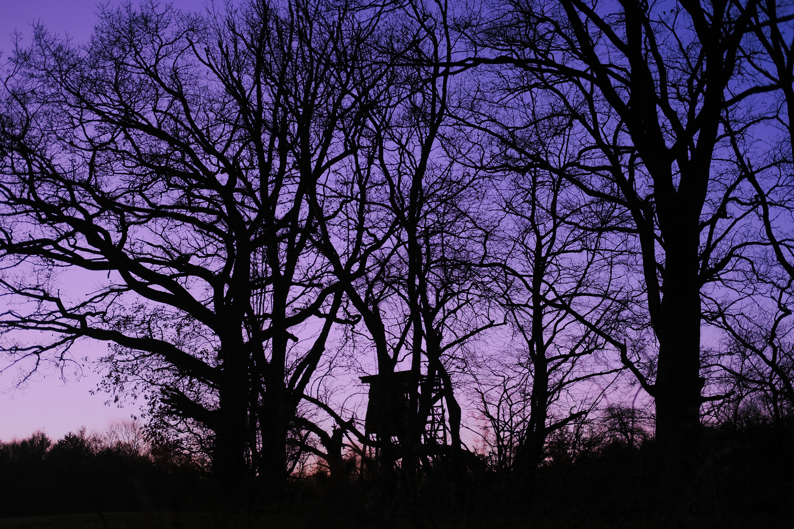 Sparziergang mit Abendhimmel