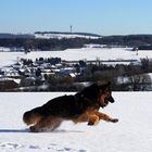 Spaß am Knüllkopfchen