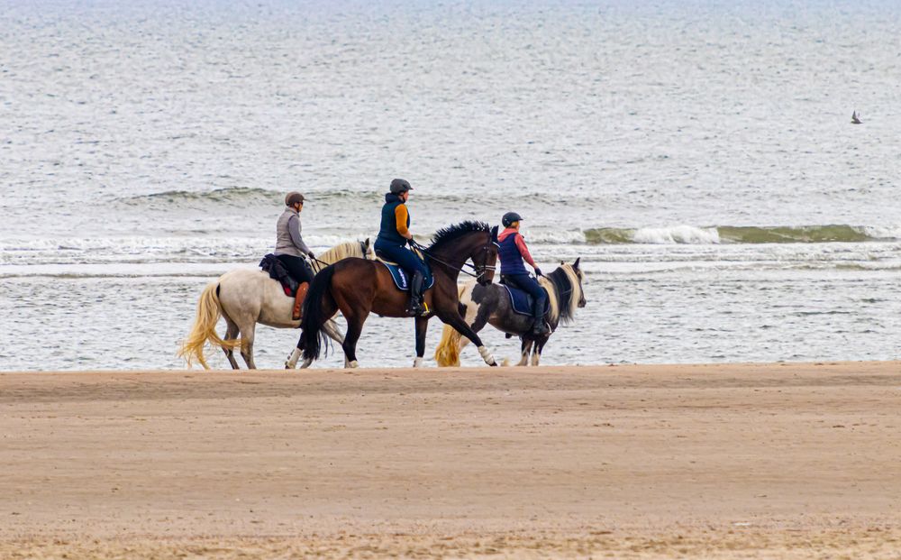 Spass am Meer