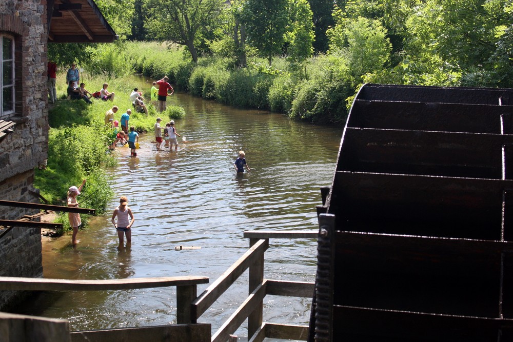 Spass am Mühlenteich