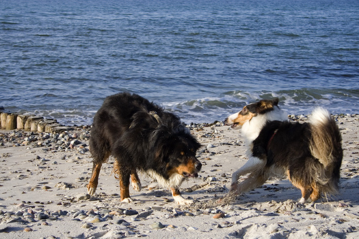 Spaß am Strand