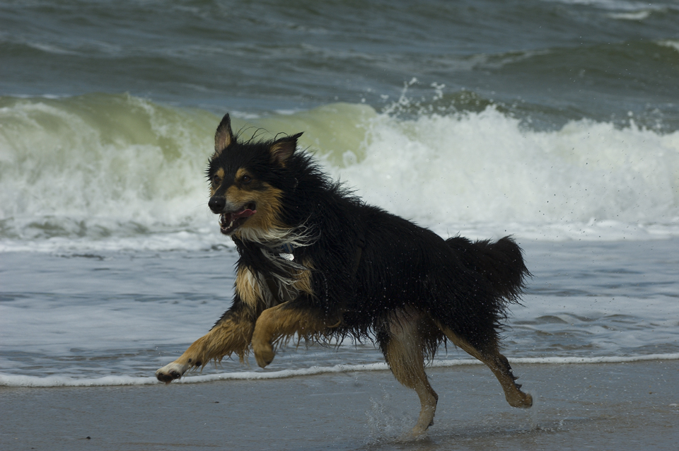 Spaß am Strand