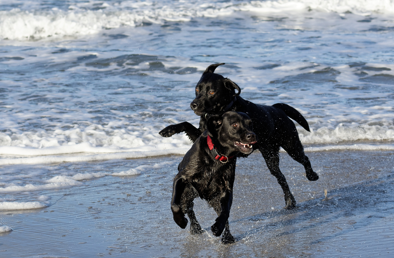 Spaß am Strand 1