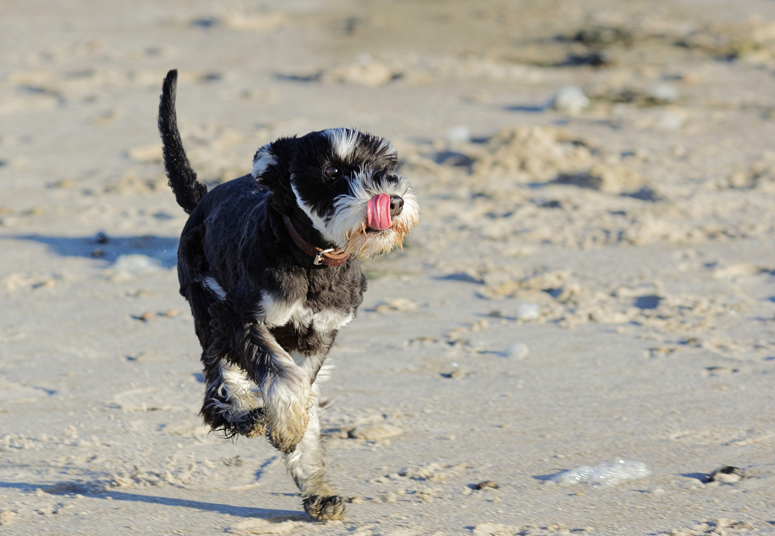 Spaß am Strand 2