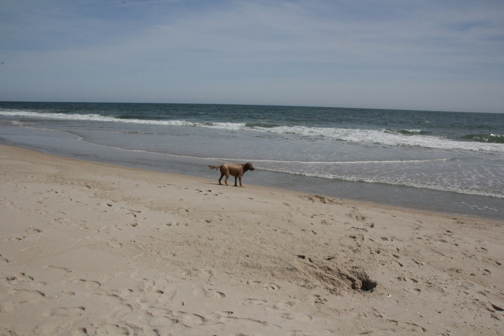 Spaß am Strand