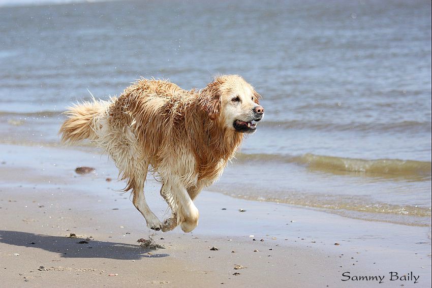 Spaß am Strand