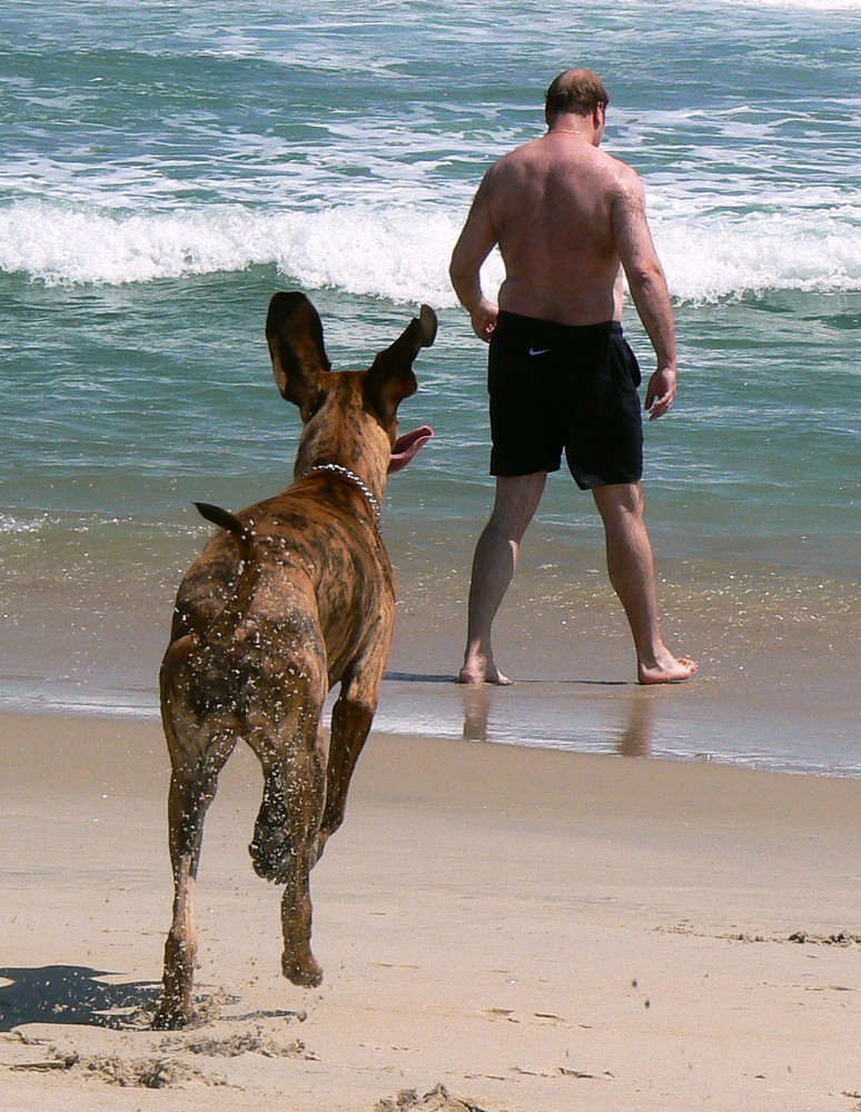 Spass am Strand