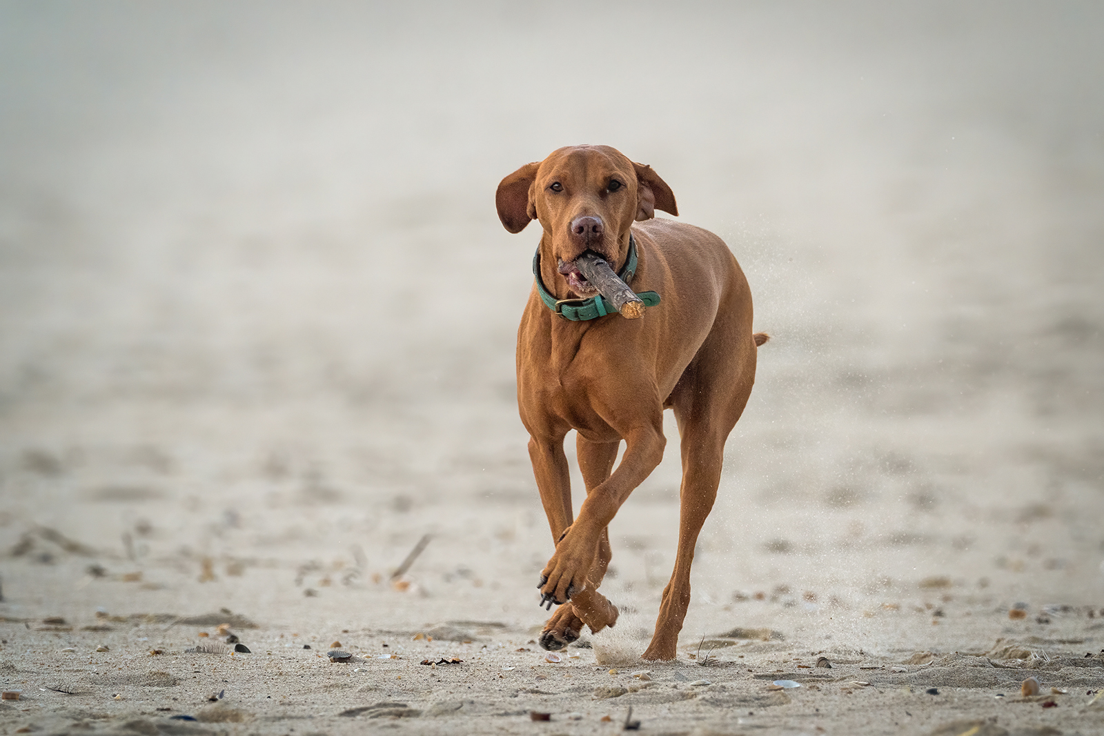 Spaß am Strand