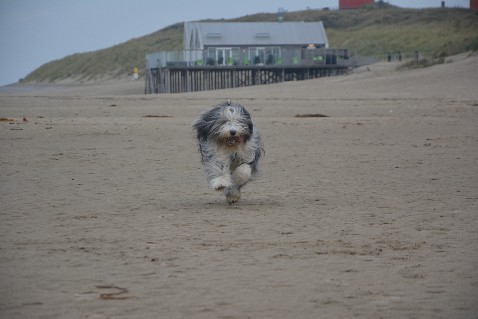 Spaß am Strand