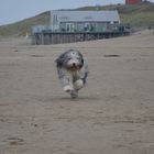 Spaß am Strand