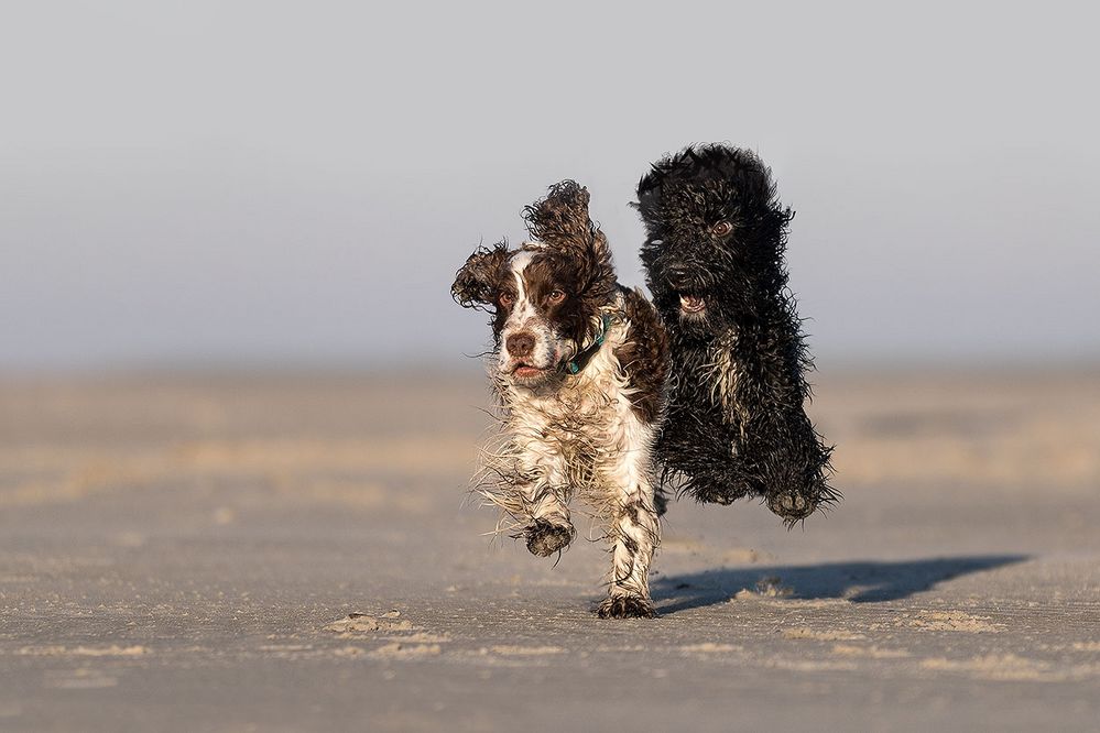 Spass am Strand