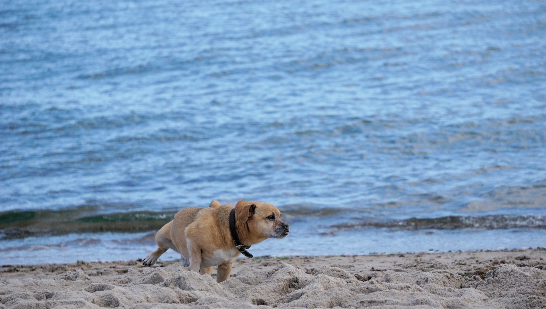 Spaß am Strand