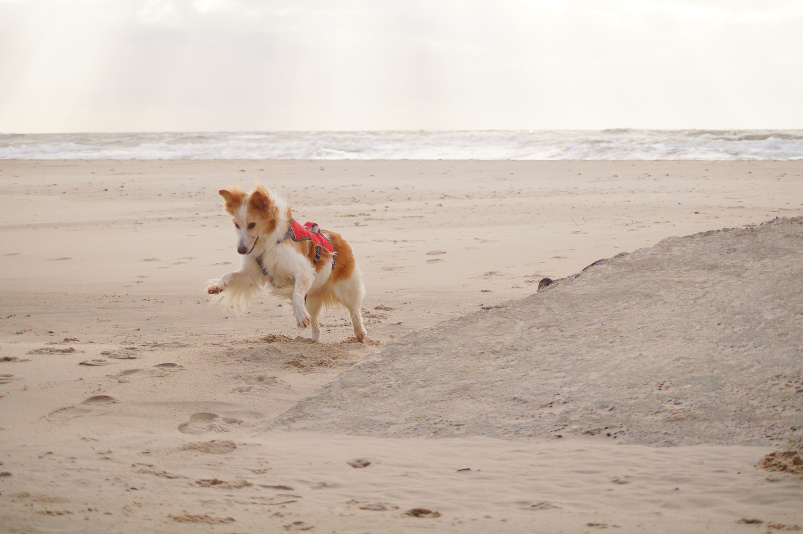 Spaß am Strand